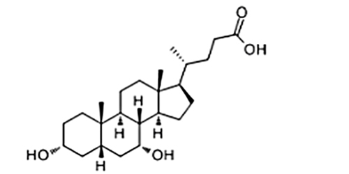 熊去氧膽酸.jpg